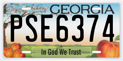 GA license plate PSE6374