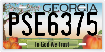 GA license plate PSE6375