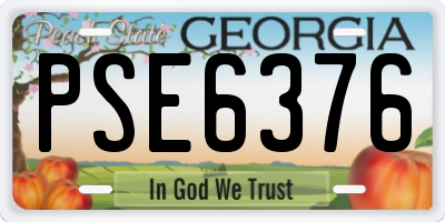 GA license plate PSE6376