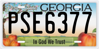 GA license plate PSE6377
