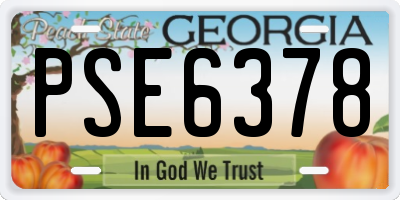 GA license plate PSE6378