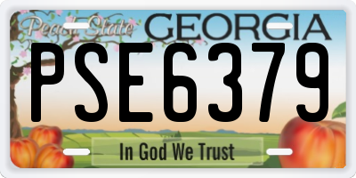 GA license plate PSE6379