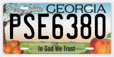 GA license plate PSE6380