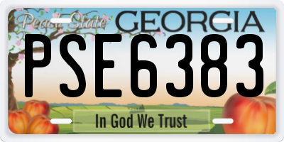 GA license plate PSE6383