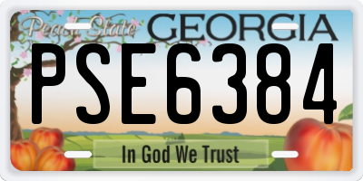 GA license plate PSE6384