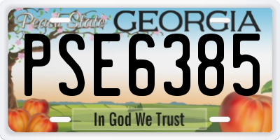 GA license plate PSE6385