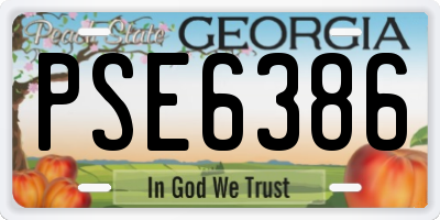 GA license plate PSE6386