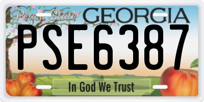 GA license plate PSE6387