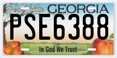 GA license plate PSE6388