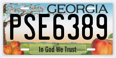 GA license plate PSE6389