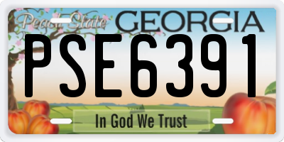 GA license plate PSE6391