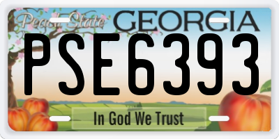 GA license plate PSE6393