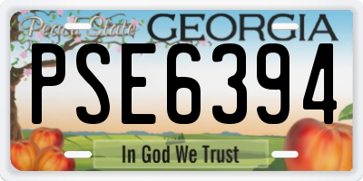 GA license plate PSE6394