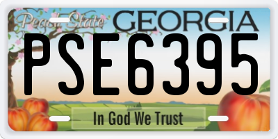 GA license plate PSE6395