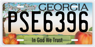GA license plate PSE6396