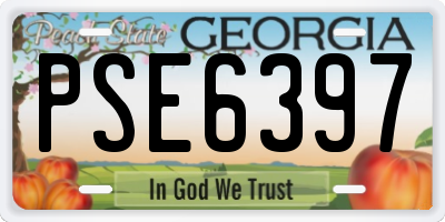 GA license plate PSE6397