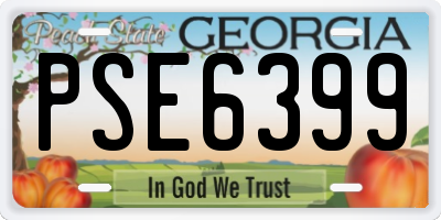 GA license plate PSE6399