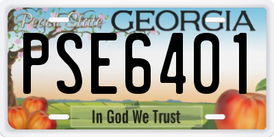 GA license plate PSE6401