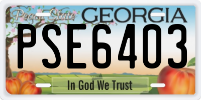 GA license plate PSE6403