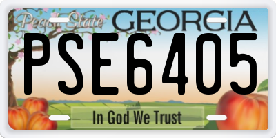 GA license plate PSE6405