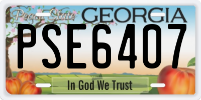 GA license plate PSE6407