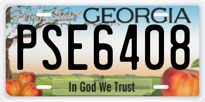GA license plate PSE6408