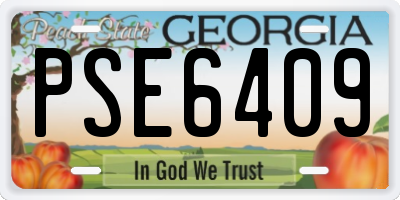 GA license plate PSE6409
