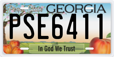 GA license plate PSE6411