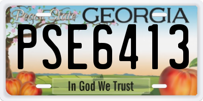 GA license plate PSE6413