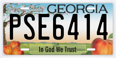 GA license plate PSE6414
