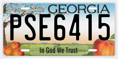 GA license plate PSE6415