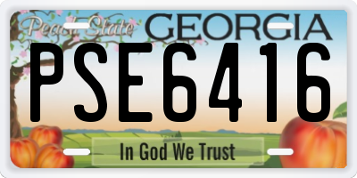 GA license plate PSE6416
