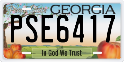 GA license plate PSE6417