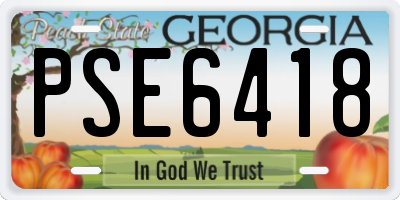 GA license plate PSE6418