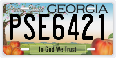 GA license plate PSE6421