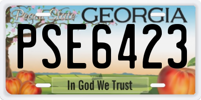 GA license plate PSE6423