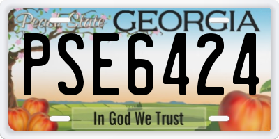 GA license plate PSE6424