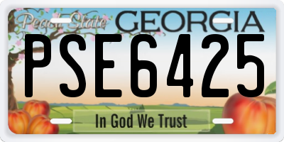 GA license plate PSE6425