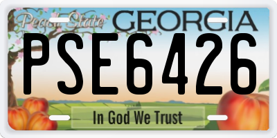 GA license plate PSE6426