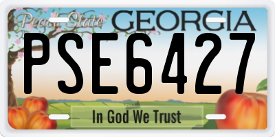 GA license plate PSE6427