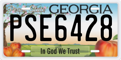 GA license plate PSE6428