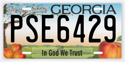 GA license plate PSE6429