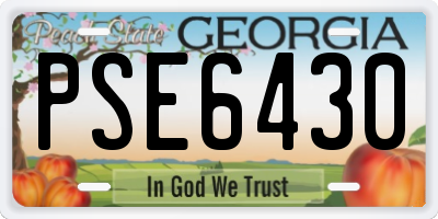 GA license plate PSE6430