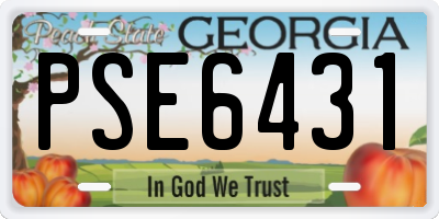 GA license plate PSE6431