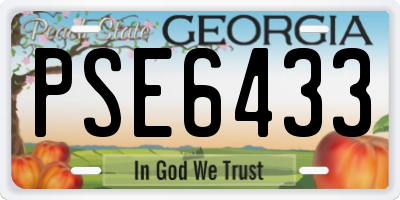 GA license plate PSE6433
