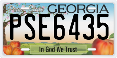 GA license plate PSE6435