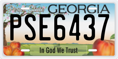 GA license plate PSE6437