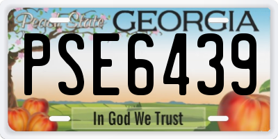 GA license plate PSE6439