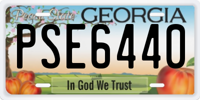 GA license plate PSE6440