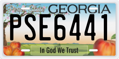 GA license plate PSE6441